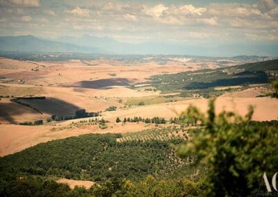 View from Volterra Villa wedding