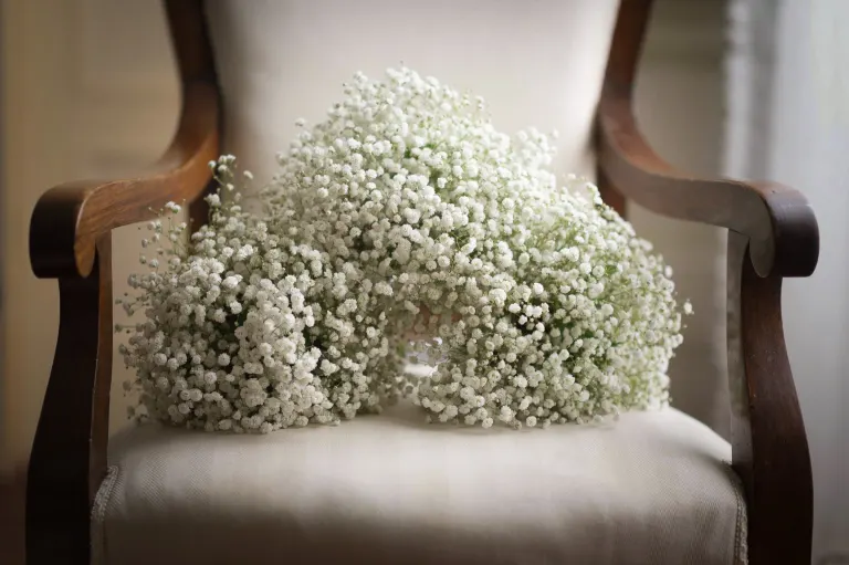 Bouquet of baby's breath resting on an antique chair