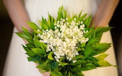 Wedding Bouquet Inspiration