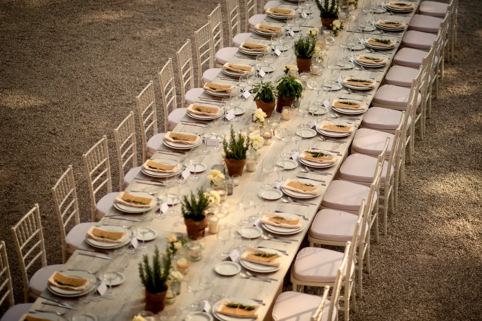 Wedding coordinator Long wedding table with basil pots in a Tuscan garden