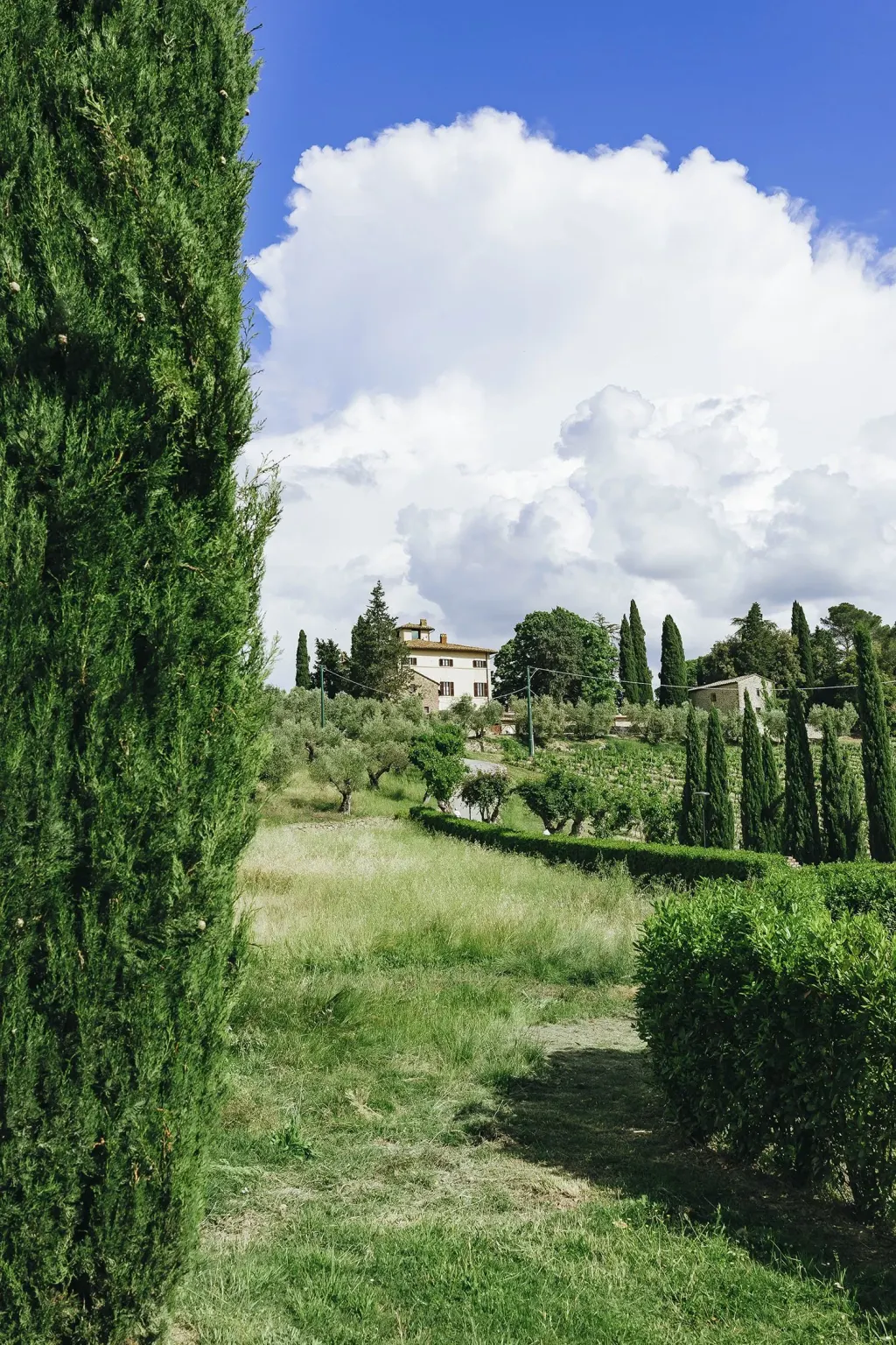 The green heart Villa among cypresses and olive groves on the hills of Umbria