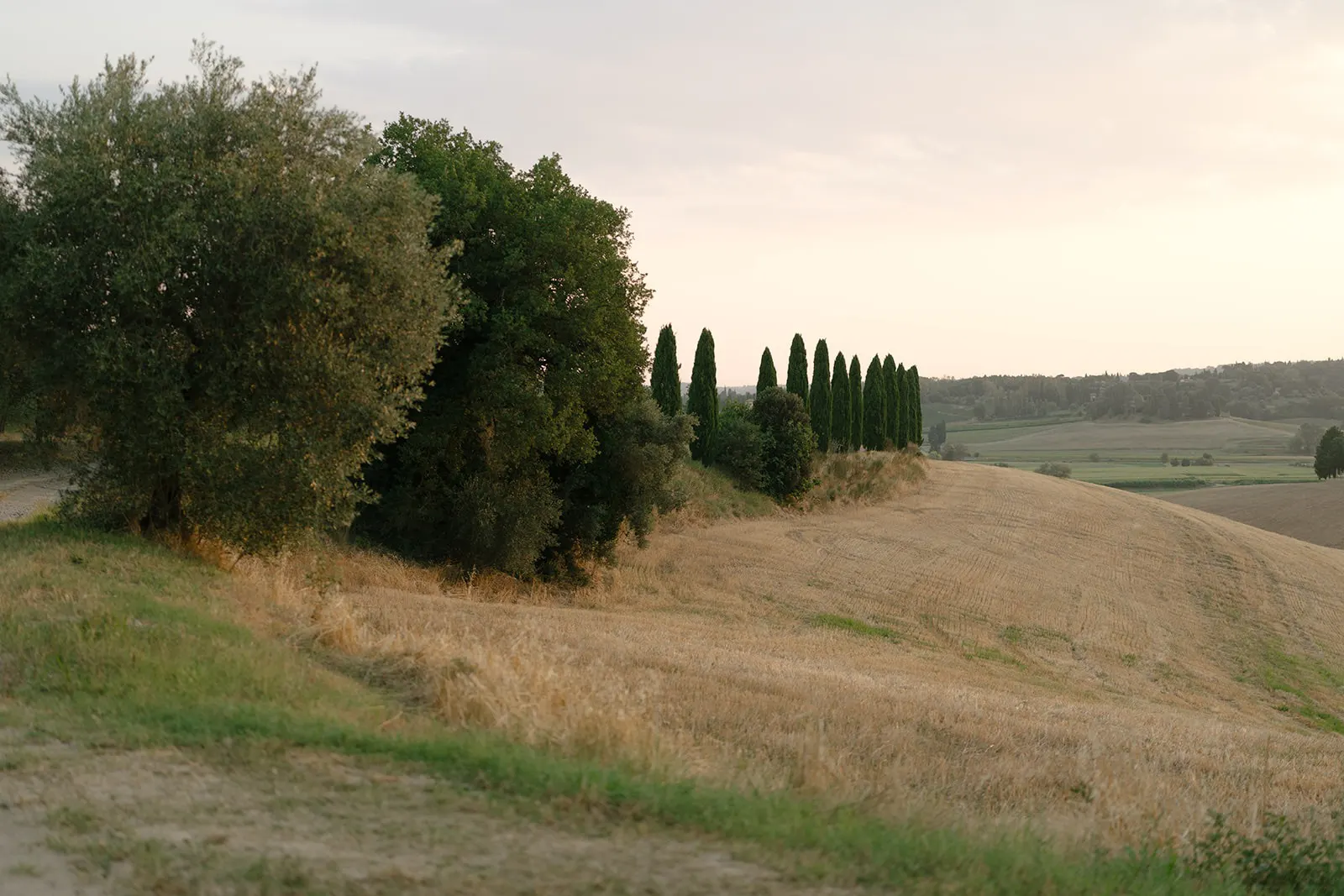 Efffetti® Wedding Planners In Tuscany - Italy Cypress trees on the hills of the Val d'Orcia at sunset